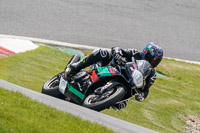 Advanced Group Multicolour Bikes